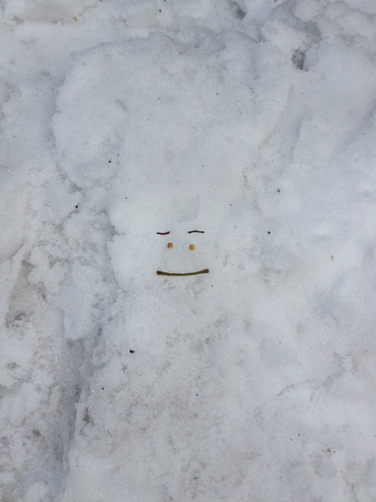 snowface.jpg