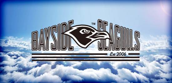 baysideseagulls-banner.jpg