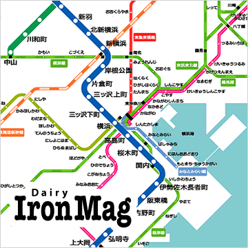 Dairy IronMag
